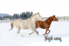 horse-4671545_1280.png